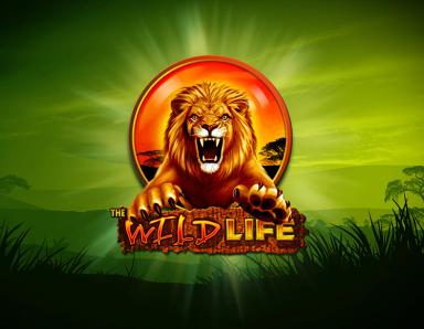 The Wild Life_image_IGT