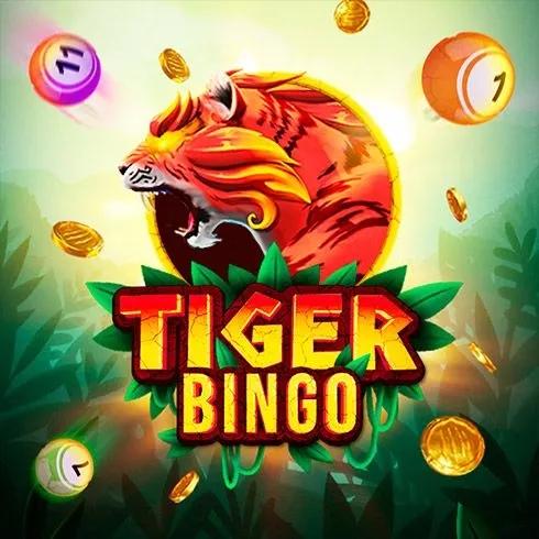 Tiger Bingo_image_Darwin