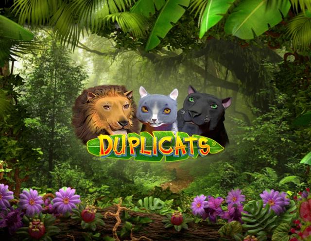 Duplicats_image_Realistic Games