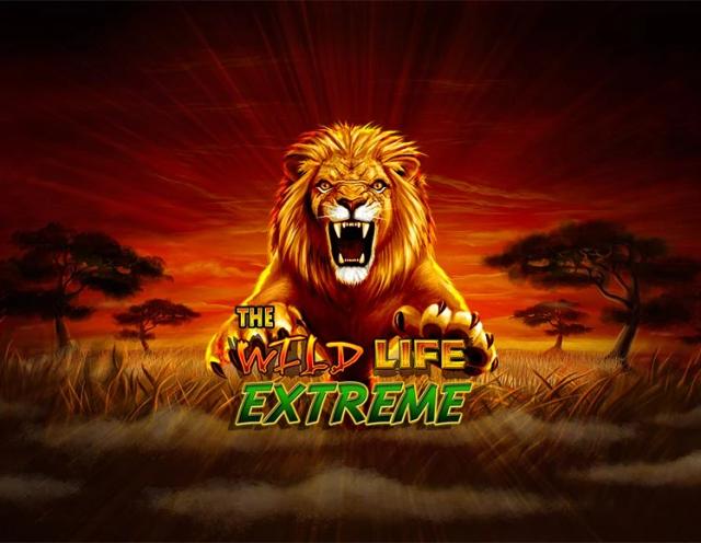 The Wild Life Extreme_image_IGT